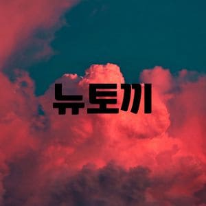 뉴토끼 주소 2025