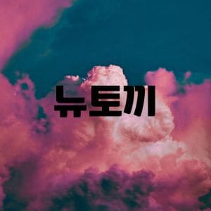 뉴토끼 주소 시즌2