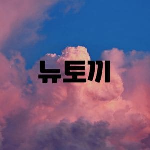 뉴토끼 주소